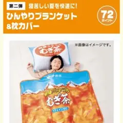 新品未使用 健康ミネラルむぎ茶 ひんやりブランケット & 枕カバー