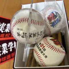 2025年最新】早稲田実業 ペナントの人気アイテム - メルカリ