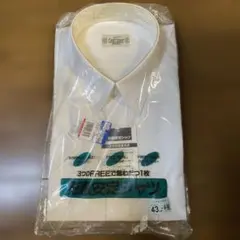 形態安定ソフトシャツ 半袖 43cm