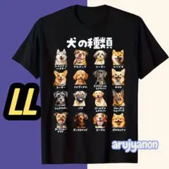 O㉖大きいサイズ Tシャツ LL ブラック 黒 犬 可愛い半袖 おもしろいいぬ6