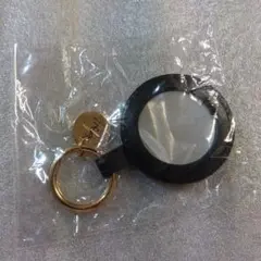専用出品　キーホルダーのみ