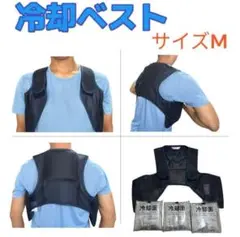 Item thumbnail for item 07a5cc5a-b4e7-41b1-8b60-4497a41893c0