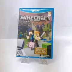 Minecraft: Wii U Edition ソフト