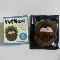 ハイキュー くるみたぴぬい Vol.2 及川徹