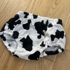 牛柄　ブルマ　80cm