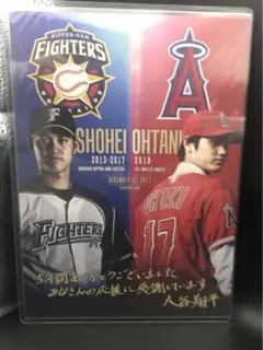 Item thumbnail for item 86c02934-6ecf-41a9-baaf-9cee46ab2b0c