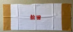 Item thumbnail for item 93886a6a-f45b-4f6a-b2d4-2063bd1ea3e6