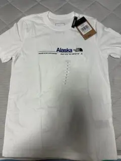 値下げ！ ザ　ノースフェイス　Tシャツ