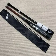 本日限定値下アシックスGOLDSTAGE SPEEDTECH カウンターバランス