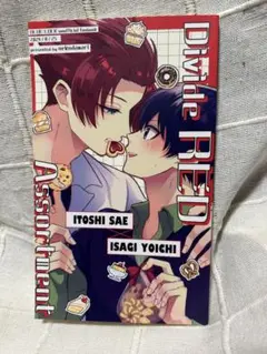 ブルーロック　同人誌『Drive RED Assortment』冴潔