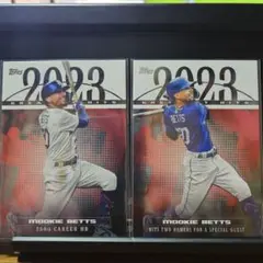 Item thumbnail for item 08e4ac31-6d11-4f5e-b298-1b64fb596e88