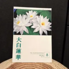 お安くしました！大白蓮華 2025年8月号 No.910