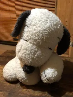 ジェラートピケ 限定品