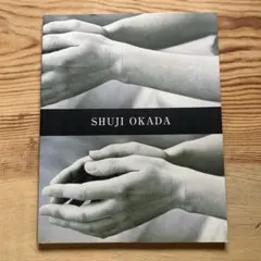 岡田修二SHUJI OKADA 絵画見ることへの問い2003年滋賀県立近代美術館