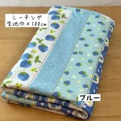 1m《シーチング》Happy message 30’S ストライプ柄 ブルー