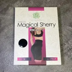 Item thumbnail for item cb69a9bd-ee57-4e08-a5fe-0f703e1be54a