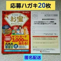 ヤマモリ　お宝キャンペーン　専用応募ハガキ　20枚　匿名配送　懸賞　応募