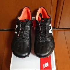 ビザロ FG     【VISARO K-LITE FG】
