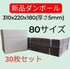 Item thumbnail for item 537f8c12-2202-48cf-9ddf-1d3a6fee2226