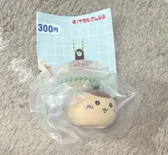 Item thumbnail for item abb2ed73-164e-4cde-90b7-7d24f7d0c3b7