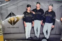 GIANTS BLACK DIAMOND SERIES 来場記念　クリアファイル