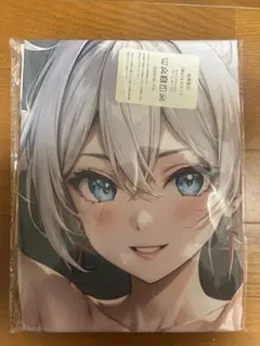 崩壊3rd キアナ・カスラナ？ 抱き枕カバー　シークレット