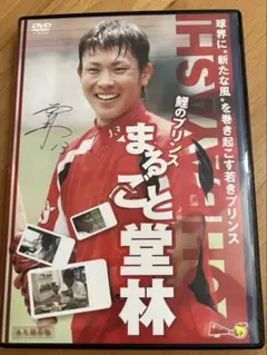 広島カープ まるごと堂林 DVD 2012年版