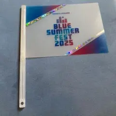 BLUE SUMMER FEST 2025