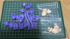 フレズヴェルク=アーテル サマーバケーション Ver. 特典パーツ