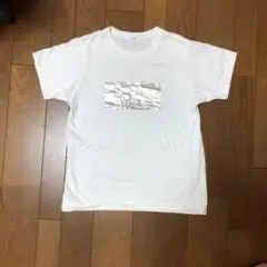 Tシャツ　白