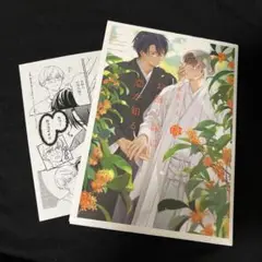 お飾り嫁は恋を知る