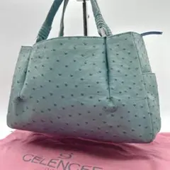 極美品 希少カラー✨ JRA認定 セレンシー ハンドバッグ オーストリッチ