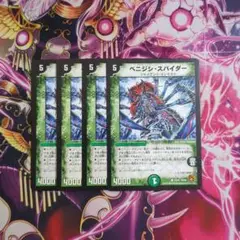 ベニジシスパイダー