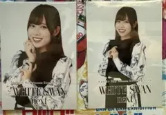 ブロマイド 伊達さゆり　二点セット
