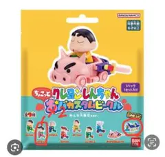 クレヨンしんちゃん おバカスタム　風間くん　シロ　お家