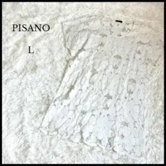 【PISANO】ピサーノ 総レース半袖ブラウス L ホワイト レディース 綺麗め