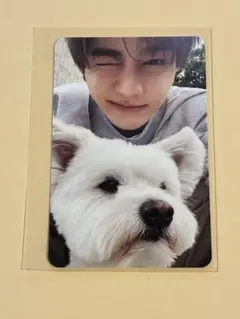 Item thumbnail for item e84c85fe-42dc-405a-87b0-b77659a87ca6