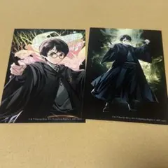 【匿名配送】ハリーポッター　さらちよみ ブロマイドコレクション　ハリー・ポッター