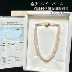 Item thumbnail for item 77e35227-d12d-4cc9-9381-a84ef7306dec