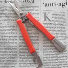 Item thumbnail for item 599406cd-91b9-48f4-b09f-1ea64bf3fec8