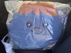 ハイキュー 一番くじ C賞 ヒナガラスふわふわクッション