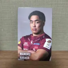 原田衛 東芝ブレイブルーパス東京 公式トレカ