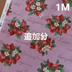 いちご柄生地　いちご生地　2枚　　アンノ　苺　英字　いちご柄　ストロベリー柄