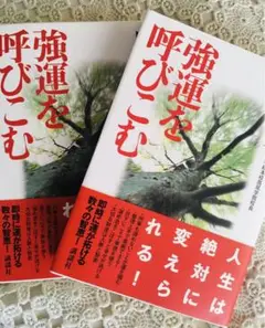 【即日匿名配送】強運を呼び込む 中村嘉男 新品　高尾算命学　高尾義政