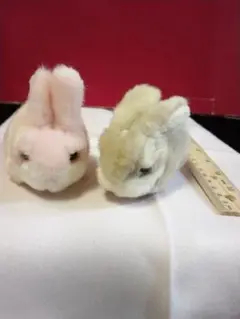 うさぎのぬいぐるみ2体セット