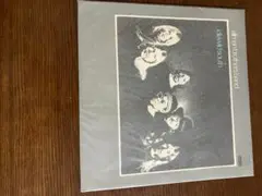 オールマン・ブラザーズ・バンド　アイドル・ワイルド・サウス
