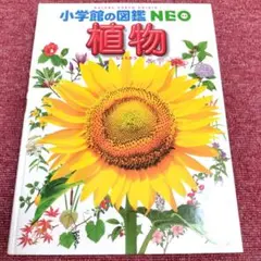 【美品】小学館の図鑑NEO「植物」★期間限定価格★8月末まで