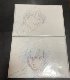 新テニスの王子様 テニプリスト限定 クリアファイルセット 仁王 柳生