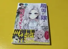 隣国から来た嫁が可愛すぎてどうしよう。 1