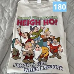 リトシー　しまむら　リンクアット　白雪姫　7人の小人　Tシャツ　180